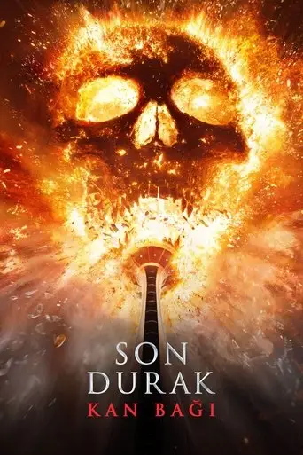 Son Durak: Kan Bağı posteri