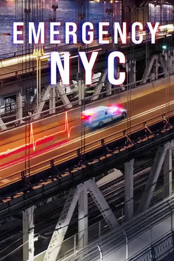Acil Durum: New York posteri