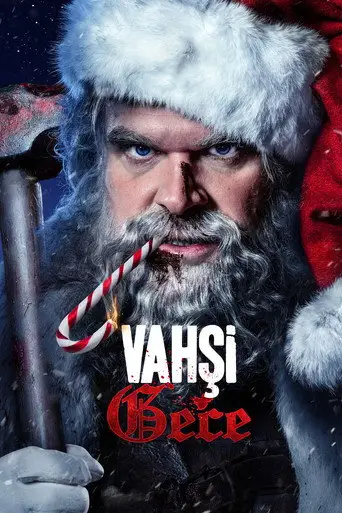Vahşi Gece posteri