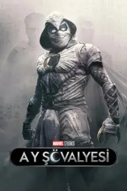Ay Şövalyesi
