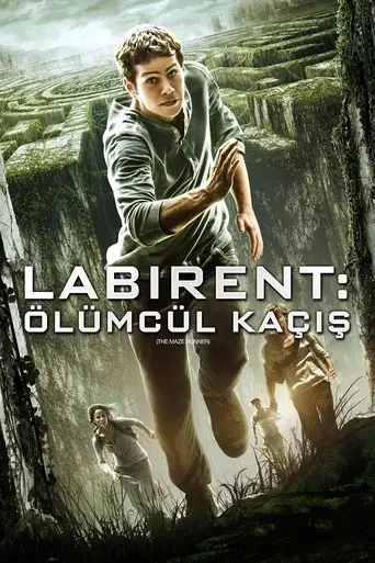 Labirent: Ölümcül Kaçış posteri