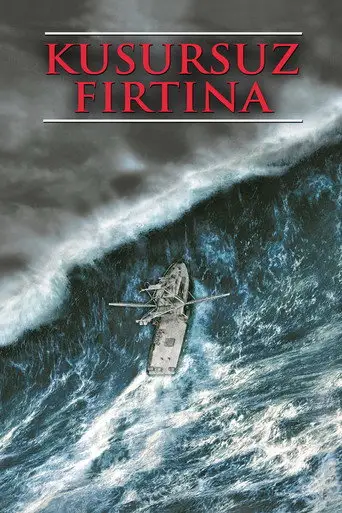 Kusursuz Fırtına posteri