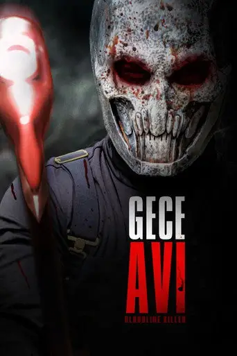 Gece Avı posteri