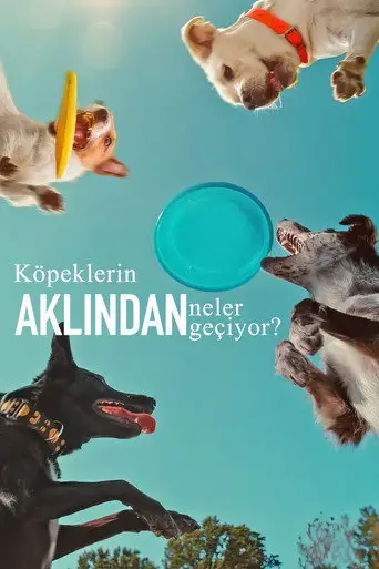 Köpeklerin Aklından Neler Geçiyor? posteri