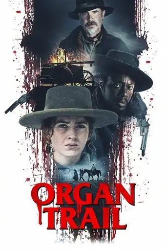 Organ Yolu posteri