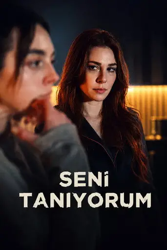 Seni Tanıyorum posteri