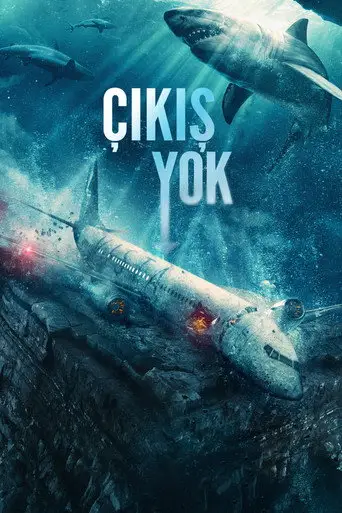 Çıkış Yok posteri