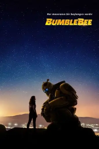 Bumblebee posteri